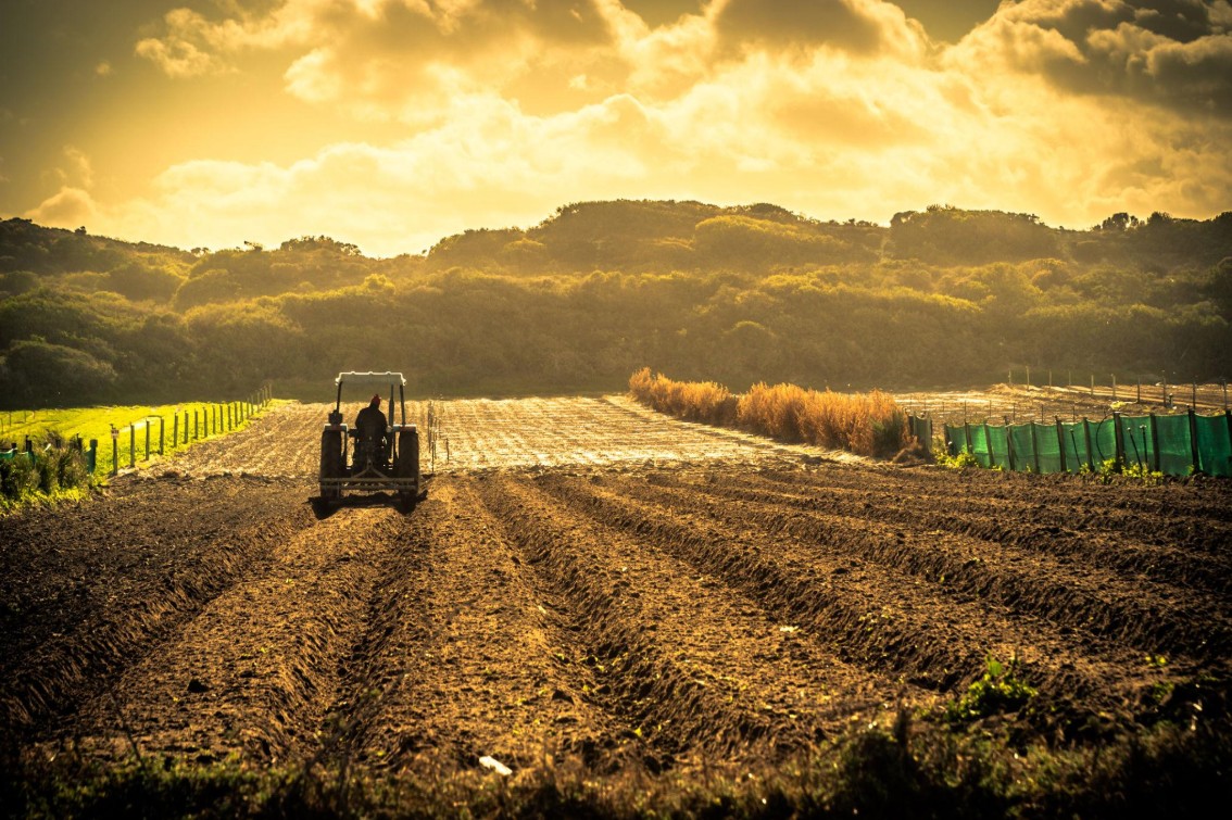 Exploitation agricole mécanisée